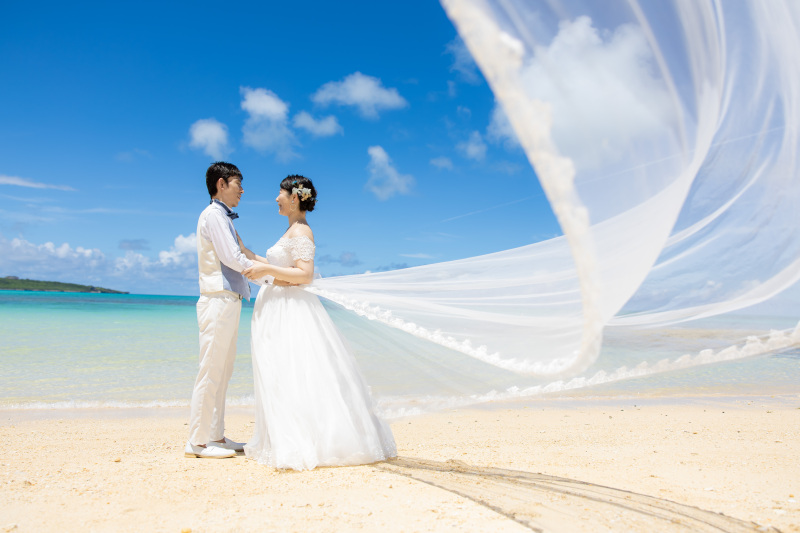 パステルブルー 海外 パステルベアー ヴィンテージ 花嫁 パステルブルー 海外 パステルベアー ヴィンテージ 花嫁