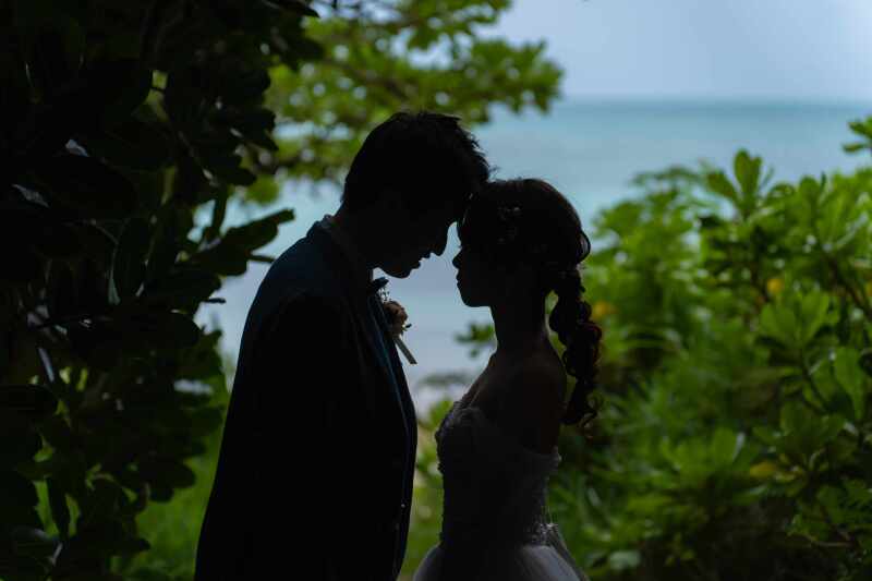 ビーチに続く森