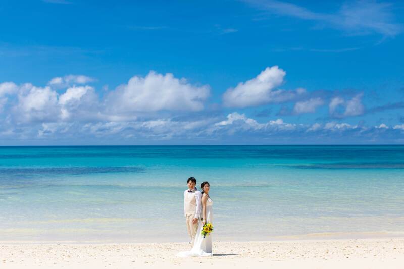 澄んだ色がきれい