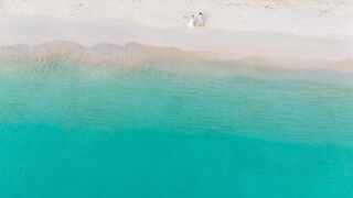 ガーデンと車とビーチ