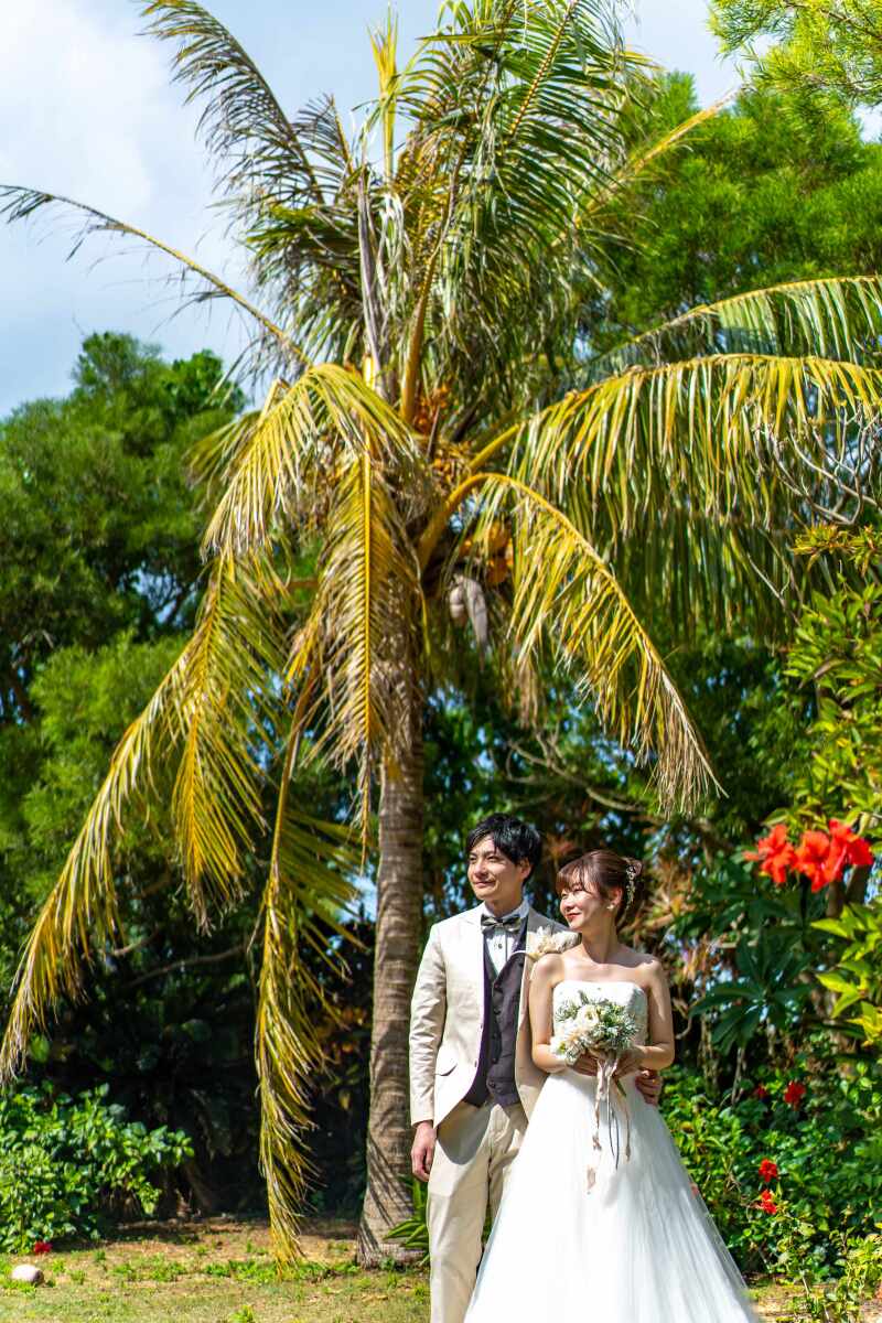 ハイビスカスも椰子の木もあります。