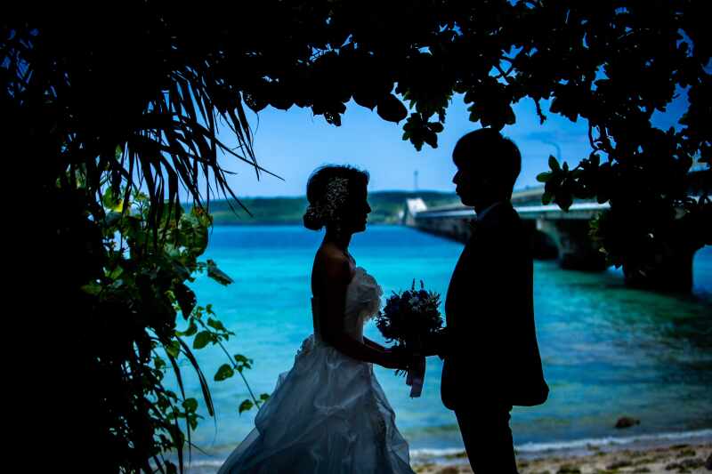 天然グリーンのアーチで