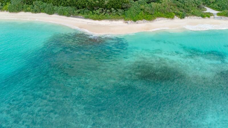 おふたりを探せ!