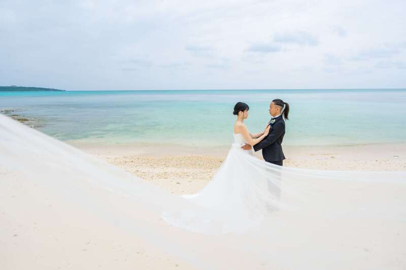 ロングベールのショット