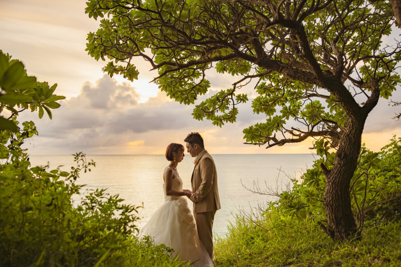 オレンジ&グリーン