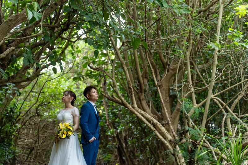 自然にできたグリーンのアーチ