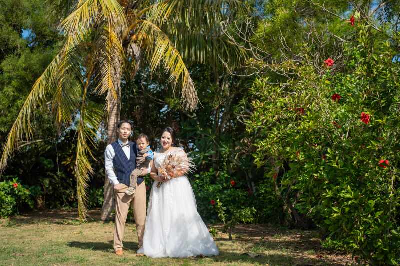椰子の木とハイビスカス