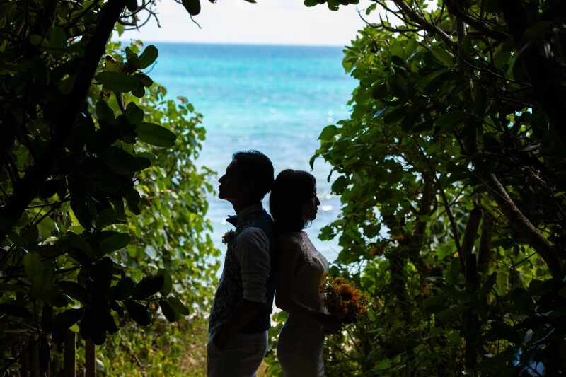 海に続く森の道