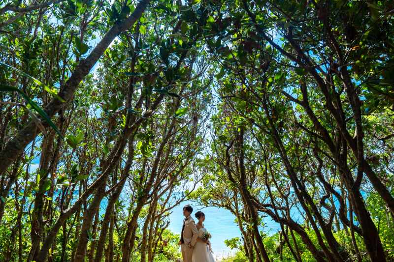 ビーチだけじゃない魅力