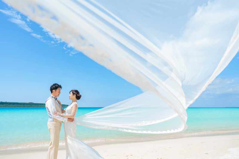 鮮やかに、ダイナミックに