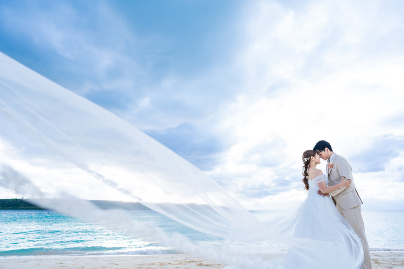 ロングベールショット