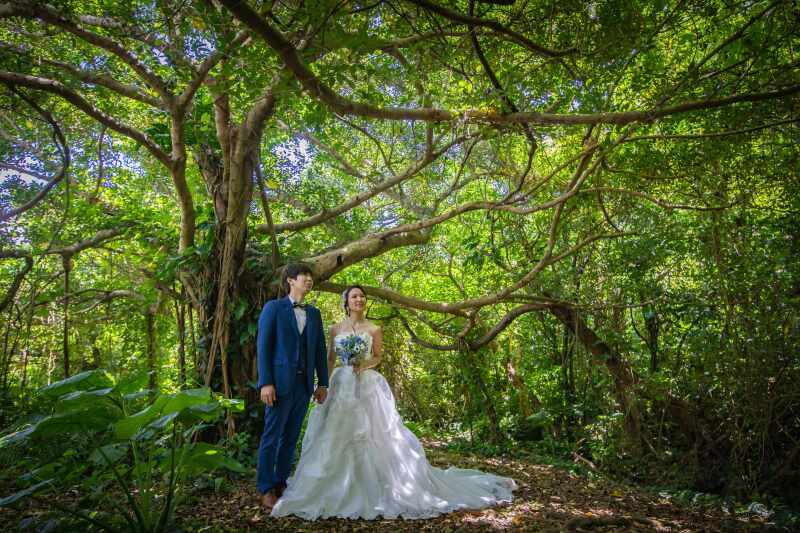 幻想的グリーン