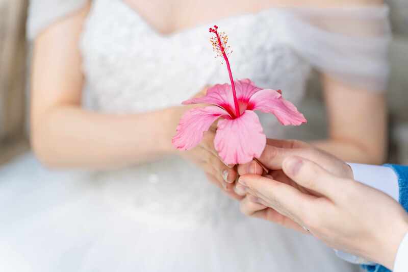 ガーデンでの撮影