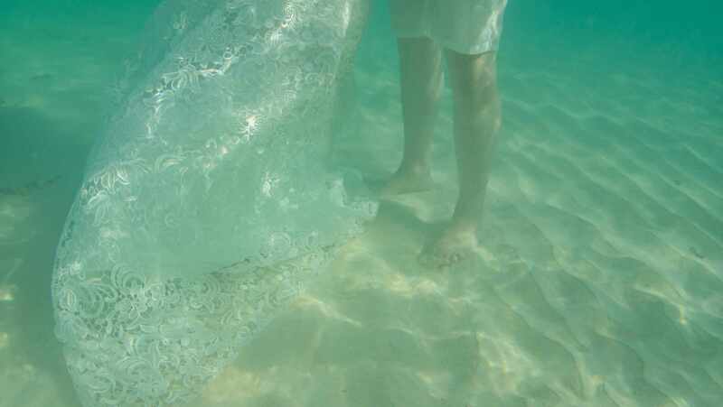 イメージカット