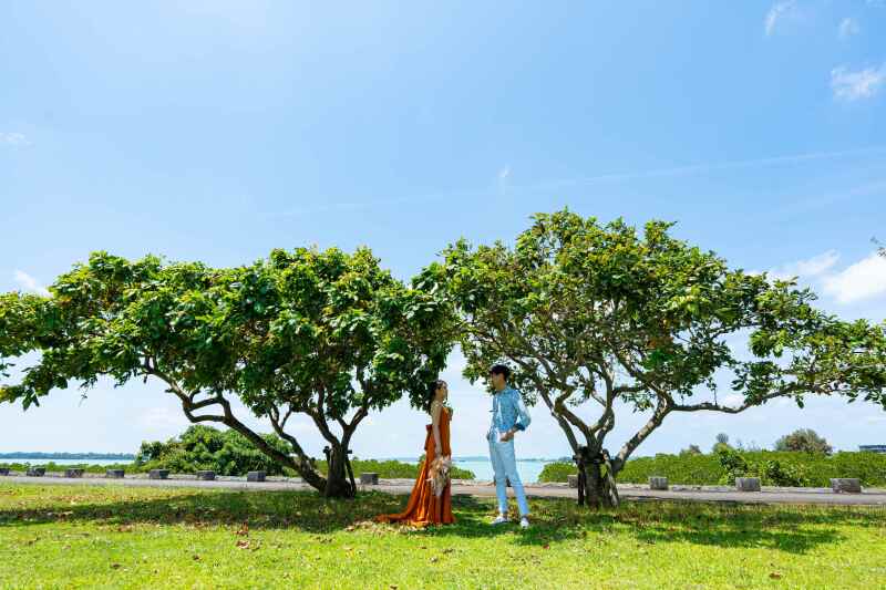 【旅するふたりの1⽇】選べる3ロケーションプラン 行きたいところへアルファードで島を巡りながら撮影　ドローン空撮10カット付き