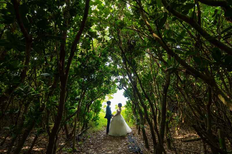 【価格変動なしの⾐装ランクフリープラン】ドレス 2 着付きビーチ&ガーデン撮影|今だけグレードアップドレ スも全てコミコミ♪