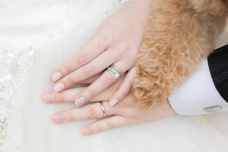 三つの手でつなぐ幸せの輪