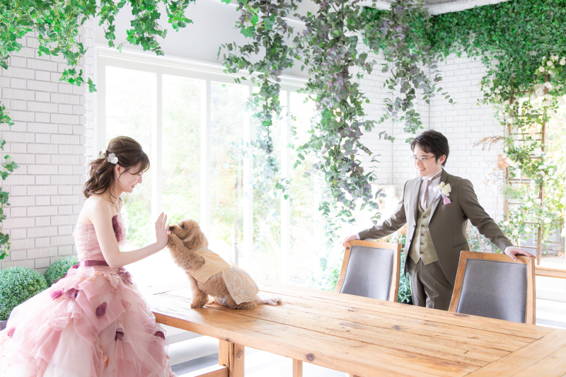 愛犬と一緒に叶える結婚の想い出