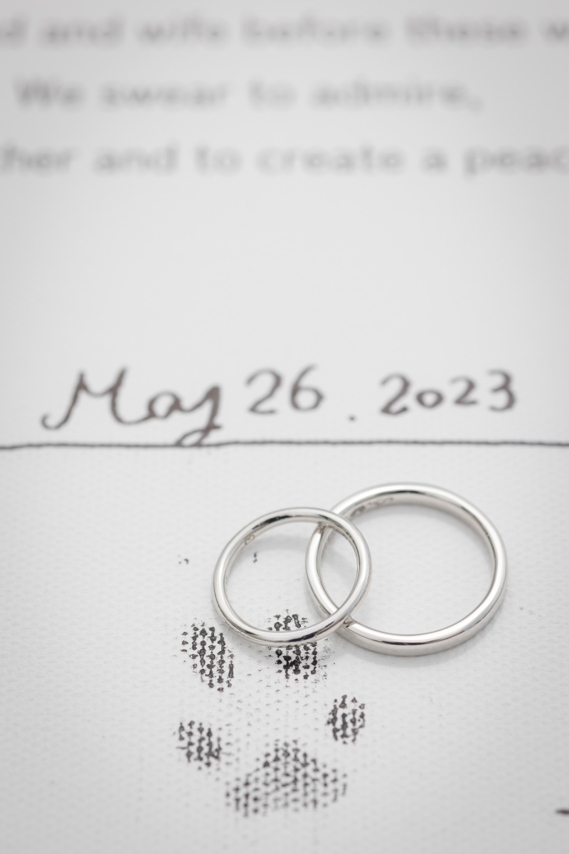 メゾンフォトスタジオ_ペットと一緒に撮影できる