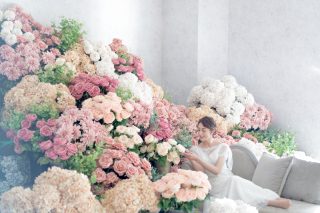 メゾンフォトスタジオ