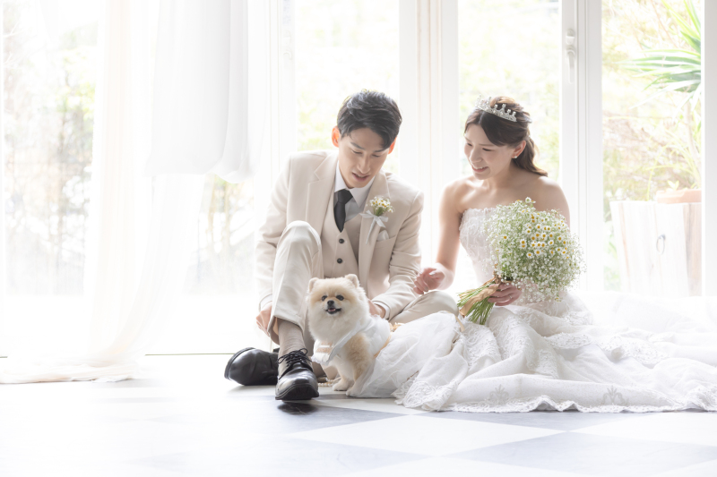 ワンちゃん・猫ちゃんのベストショット逃しません!