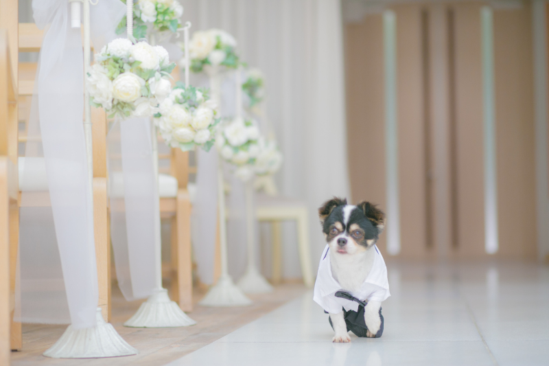 メゾンフォトスタジオ_自分のカメラでも撮影できる