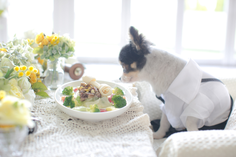 メゾンフォトスタジオ_自分のカメラでも撮影できる