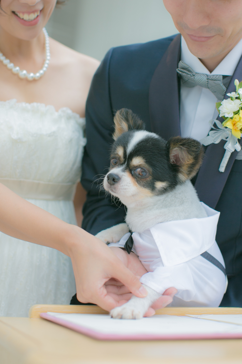 ペットも大切は家族だから