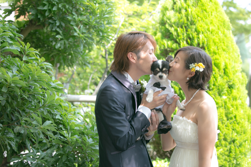 メゾンフォトスタジオ_ペットと一緒に撮影できる