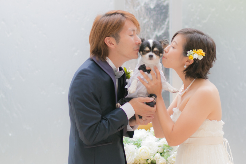 家族も一緒に、ペットも一緒に撮影自由です