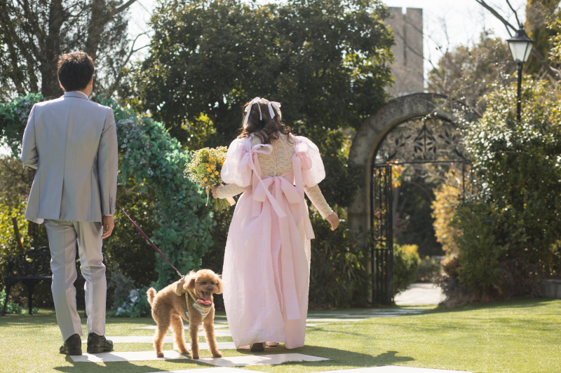 ペットとフォトウェディング【基本料金50%OFF】洋装1着・全50カットデータ※2026年3月末までの申込・5月末までの撮影