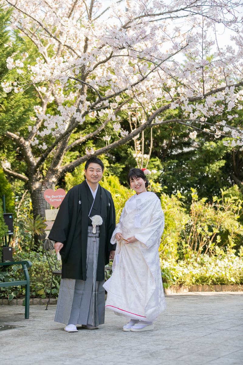 桜のお色と合わせまして