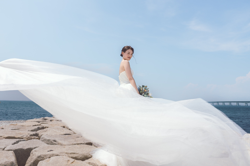 風になびくトレーン