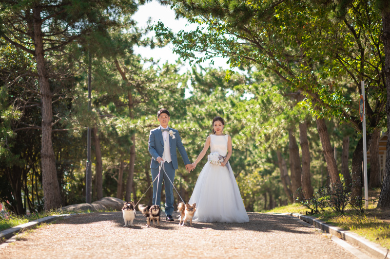 小路のお散歩フォトも