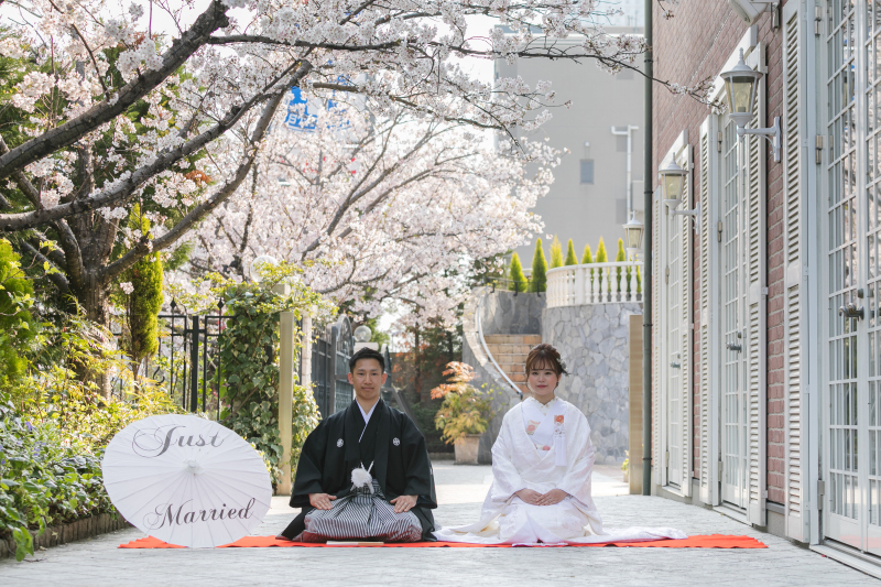 お上品仕上がり