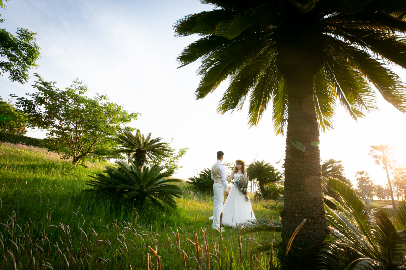 幻想的な雰囲気で撮影