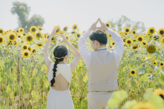 ひまわりに囲まれて