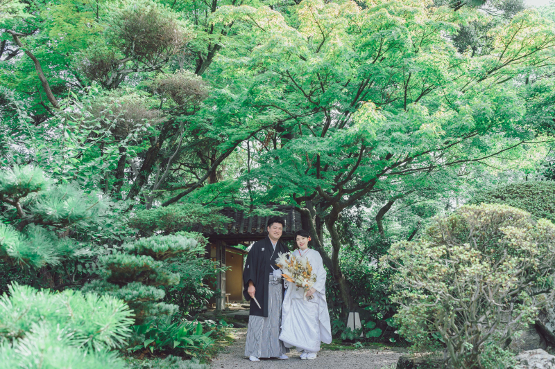 青々と生い茂る木々