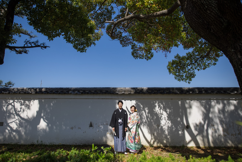 空と木漏れ日と影と