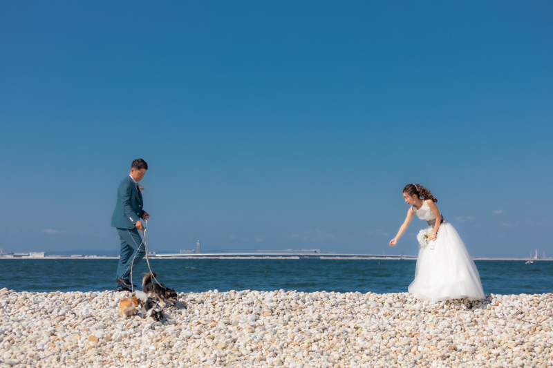 いつものやり取りが