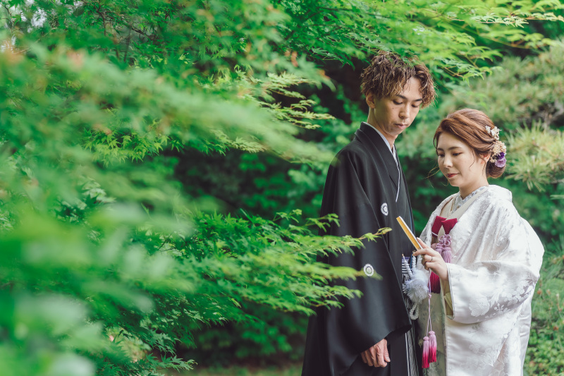 新緑が綺麗な５月