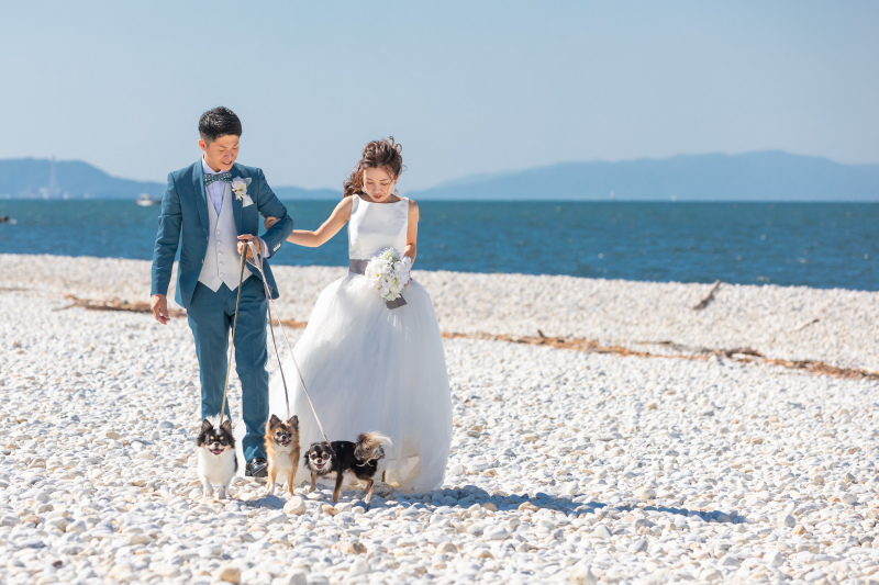 砂利浜をお散歩