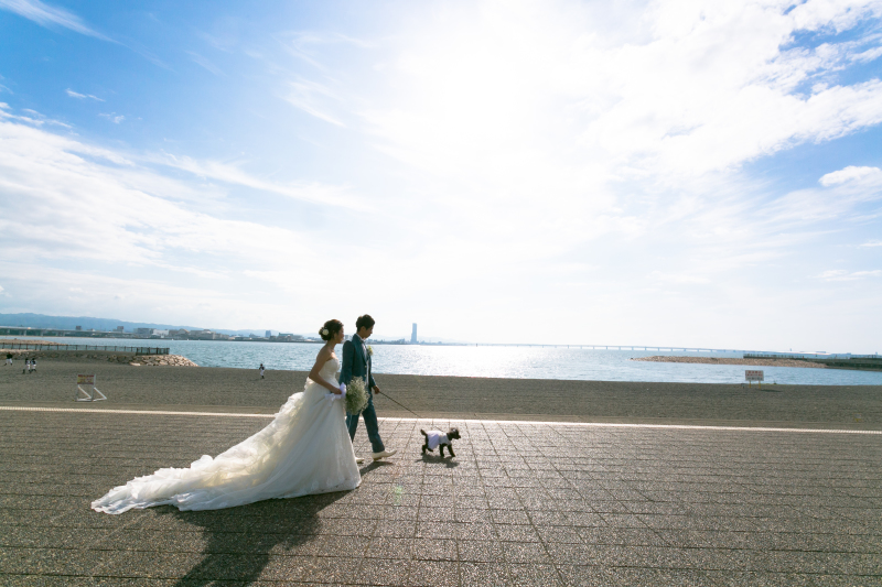 ペットと一緒のロケフォトでも安心のドレスが豊富