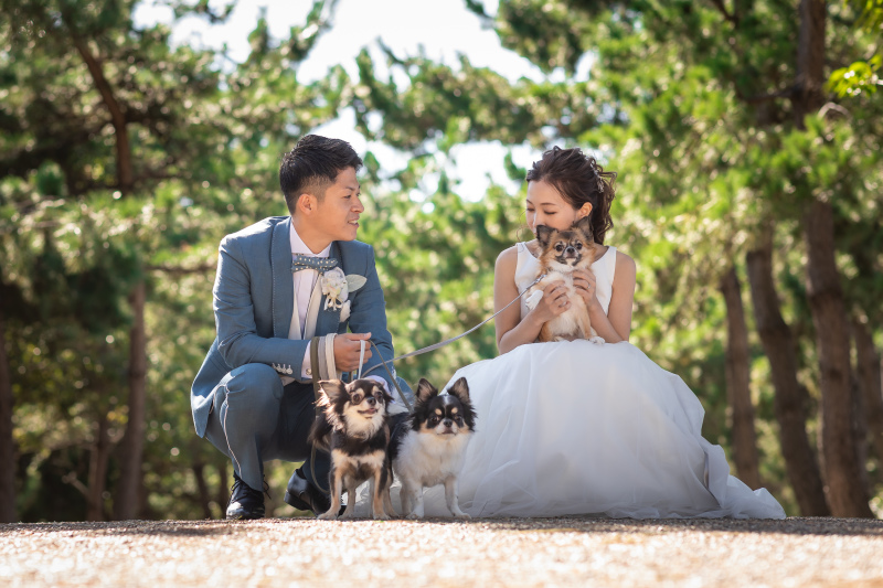 DRESS AND STYLESりんくう店_ペットと一緒に撮影できる