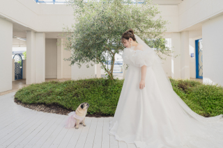 DRESS AND STYLES南大阪店_【洋装】天候の心配なし♪館内でフォトウェディング