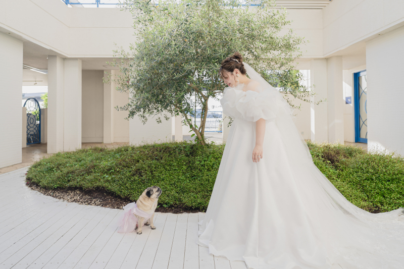 【洋装1点&和装1点】どちらも撮るならコレ!新郎新婦衣装2点プラン・スタジオ&ロケフォトプラン