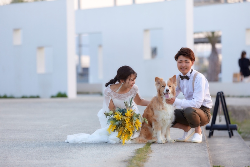 【ペットもOK★データ150カット付】大切な家族とおさんぽロケフォト♪今だけスタジオ撮影も付いてくる