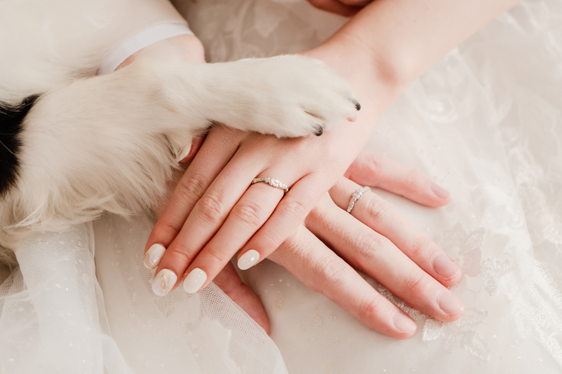 リングショット