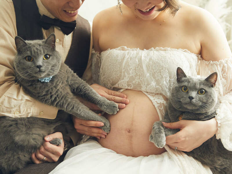 猫ちゃんと一緒に♡マタニティフォト