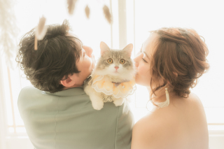 猫ちゃんと一緒に